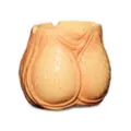 Molded Testical Ashtray at Spencer's