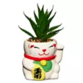 Lucky Cat Planter at Spencer's