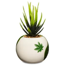 Yin Yang Weed Leaf Planter at Spencer's