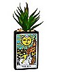Sun Tarot Planter