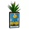 The Moon Tarot Card Planter at Spencer's