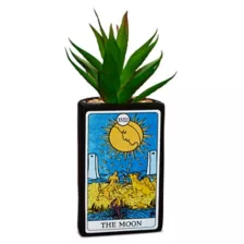 The Moon Tarot Card Planter at Spencer's