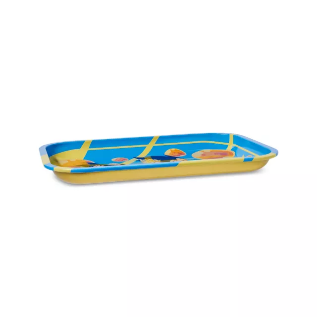 Group Dragon Ball Z Tray at Spencer's