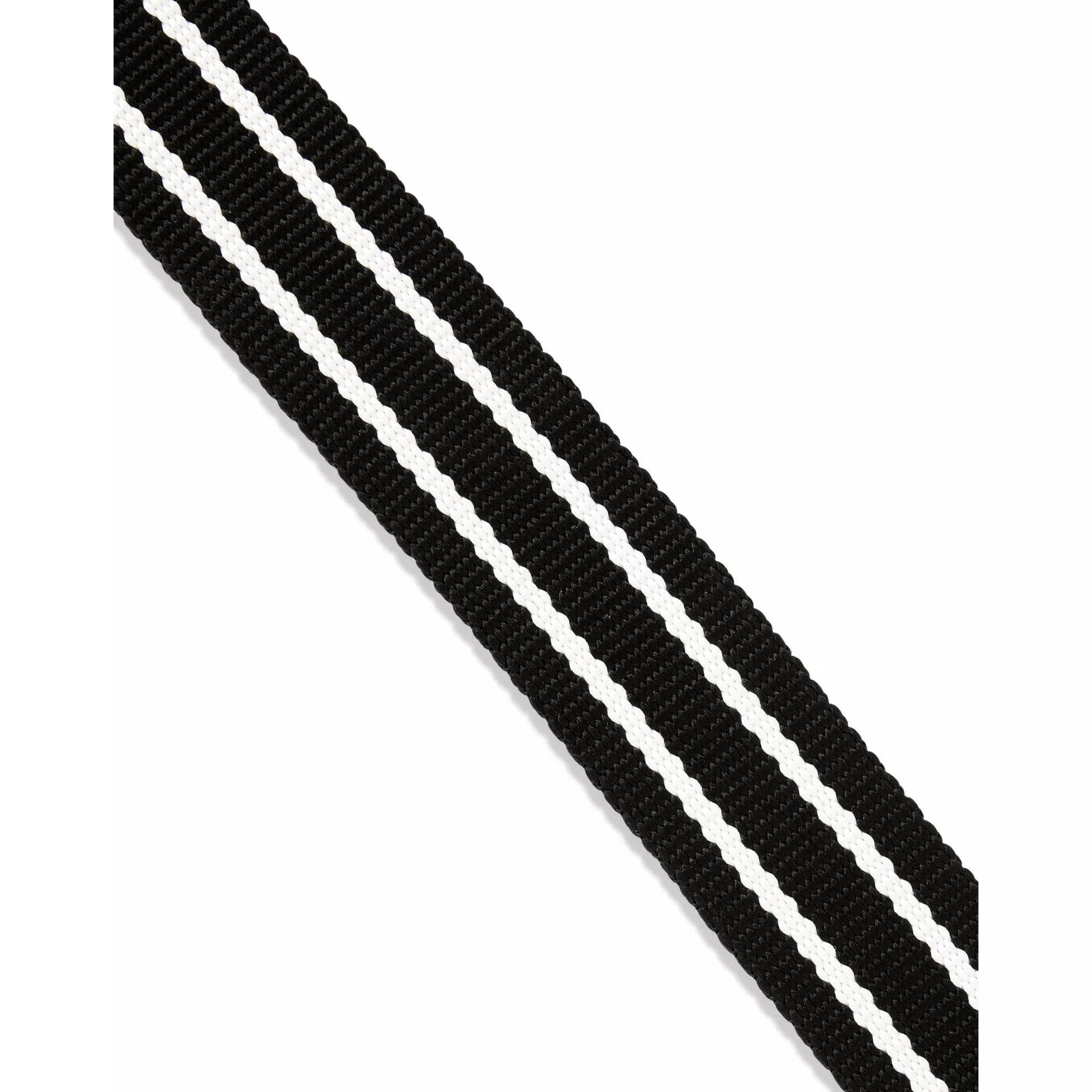 Black and White Stripe Playboy Bunny Belt at Spencer's