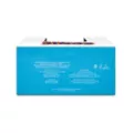 Classic Sonic and Tails Chopstick Bowl 20 oz. - Sonic the Hedgehog at Spencer's