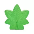 LED Leaf Lamp at Spencer's