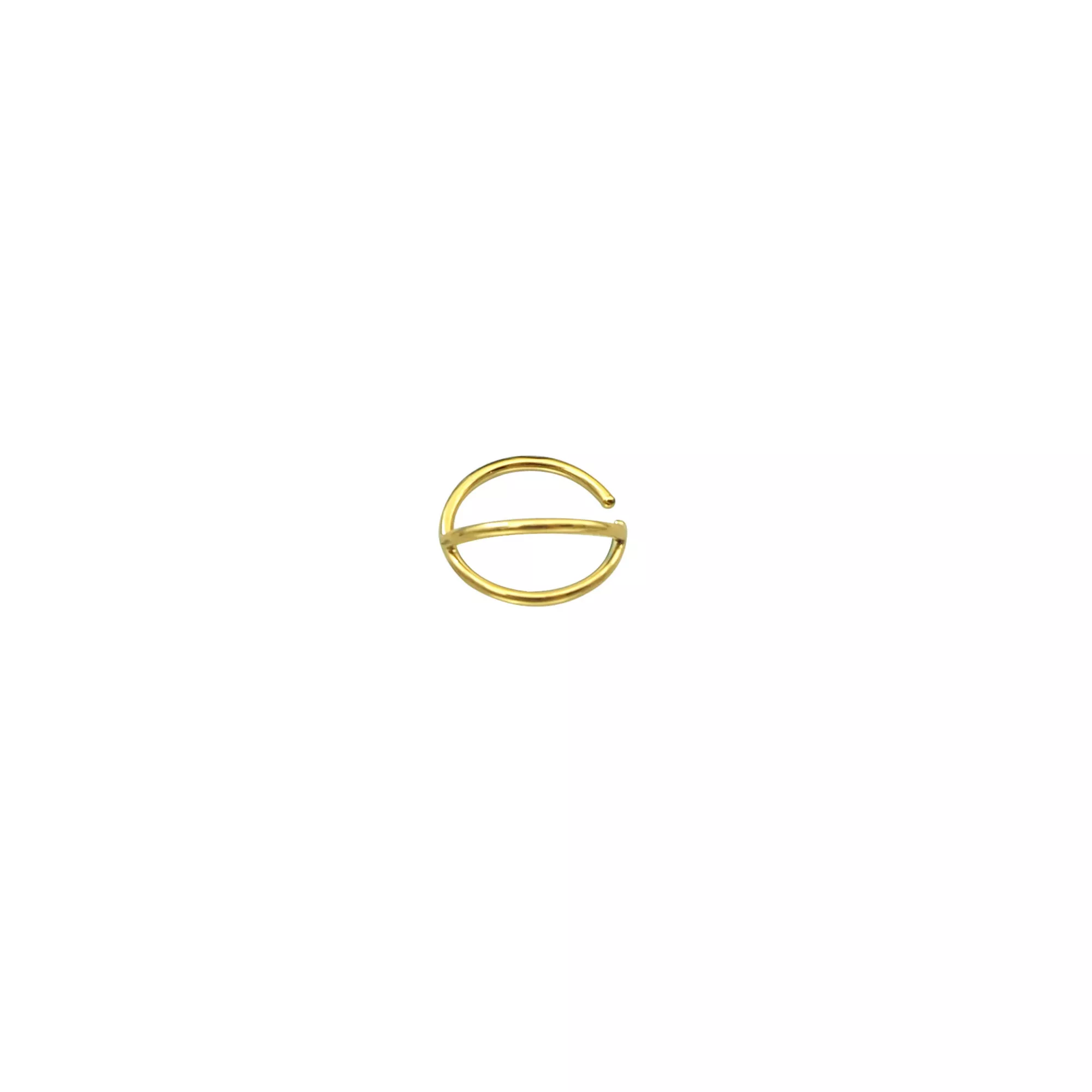 Goldtone Double Hoop Nose Ring at Spencer's