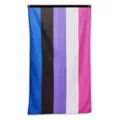 Genderfluid Pride Flag at Spencer's