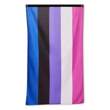 Genderfluid Pride Flag at Spencer's