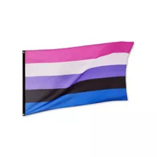 Genderfluid Pride Flag at Spencer's