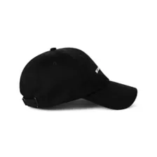 Big Dick Energy Dad Hat at Spencer's