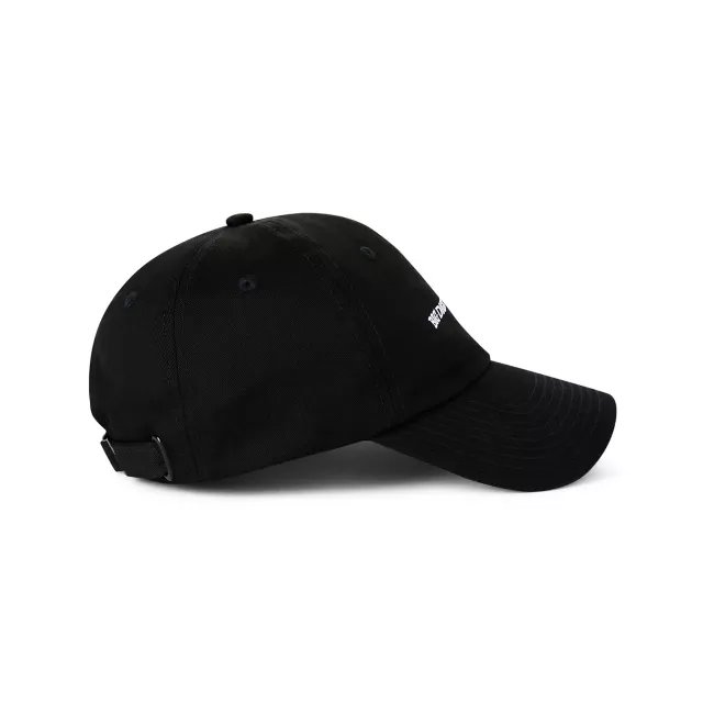 Big Dick Energy Dad Hat at Spencer's