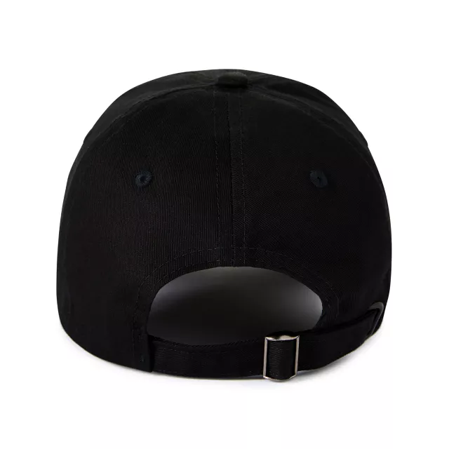 Big Dick Energy Dad Hat at Spencer's