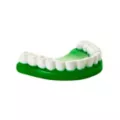 Yellow & Green Denture Dangle Earrings at Spencer's