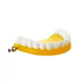 Yellow & Green Denture Dangle Earrings at Spencer's