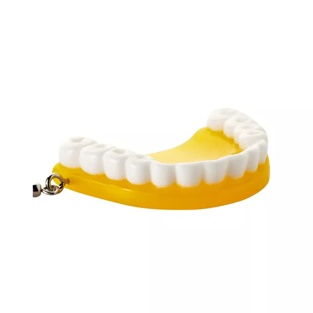 Yellow & Green Denture Dangle Earrings at Spencer's