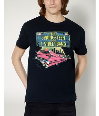 Bruce Springsteen And The E Street Band T Shirt