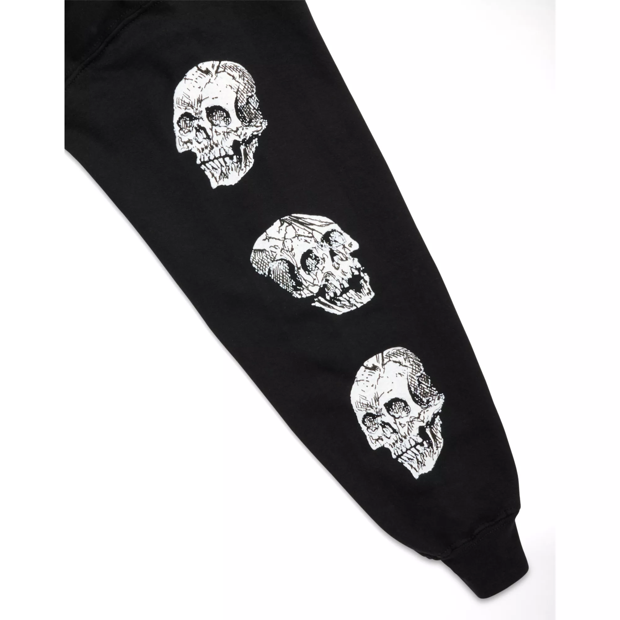 Baphomet Skull Hoodie at Spencer's