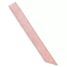 Pink Future Wifey Sash at Spencer's