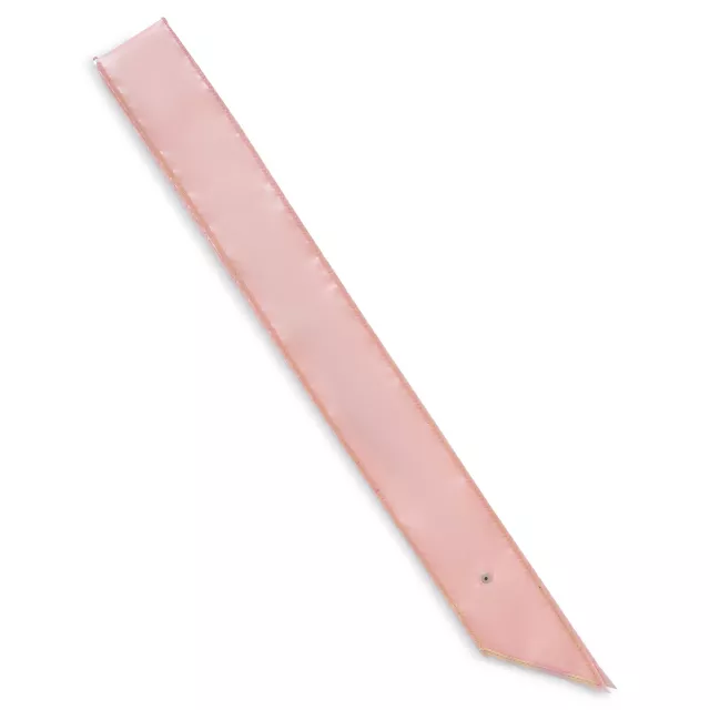 Pink Future Wifey Sash at Spencer's