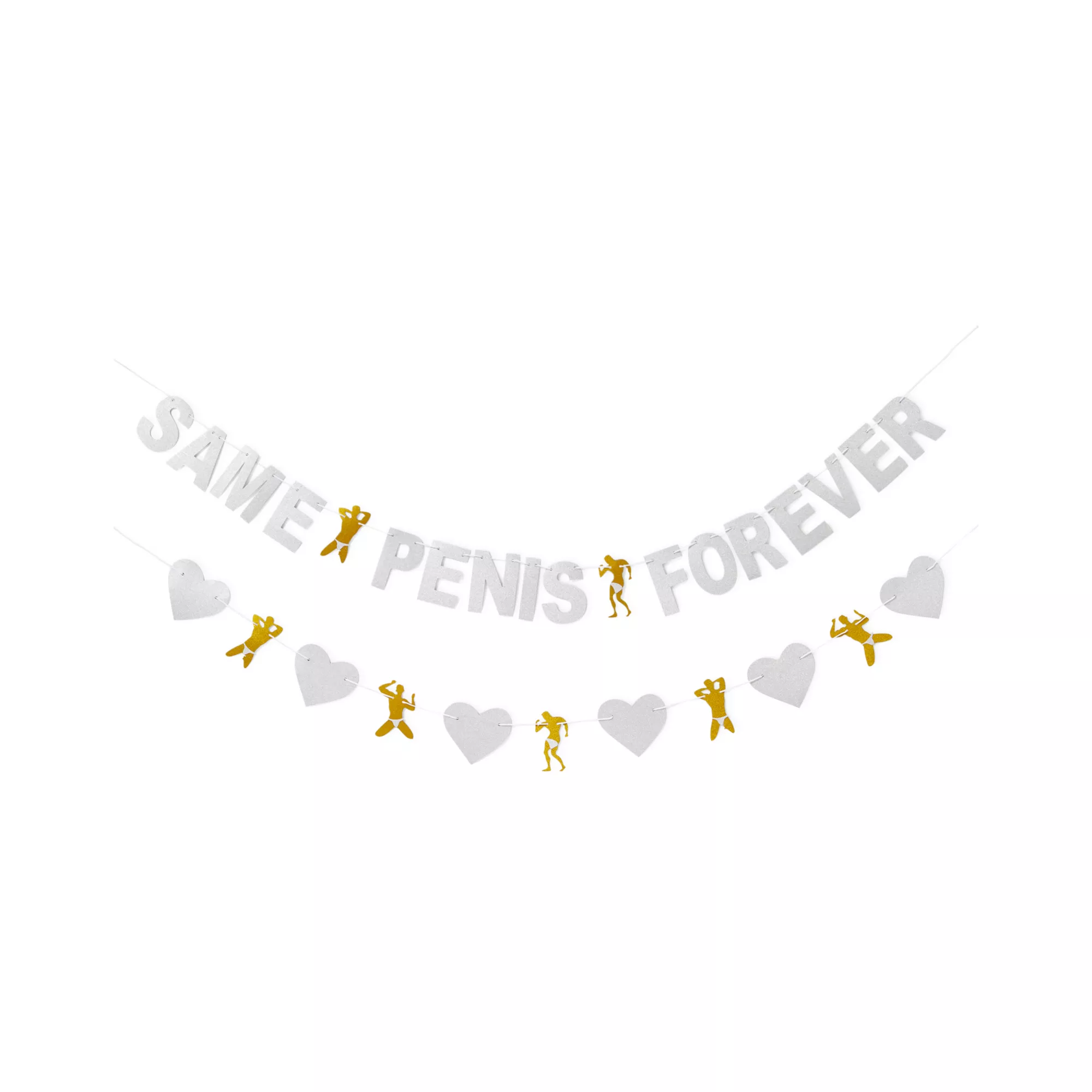 Same Penis Forever Banners - 2 Pack at Spencer's