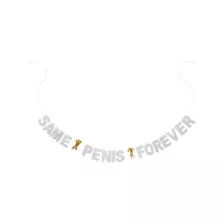 Same Penis Forever Banners - 2 Pack at Spencer's