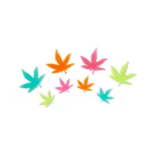 Multi-Pack Black Light Leaves - 50 Pack at Spirit Halloween
