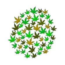 Multi-Pack Black Light Leaves - 50 Pack at Spirit Halloween