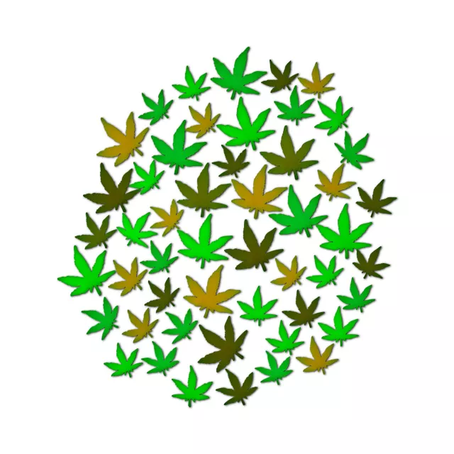 Multi-Pack Black Light Leaves - 50 Pack at Spirit Halloween