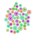 Multi-Pack Black Light Chakras - 50 Pack at Spirit Halloween