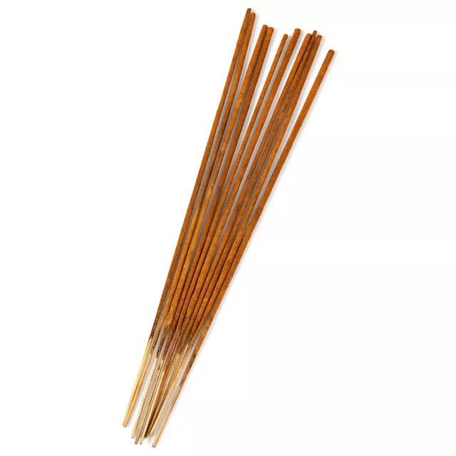Magic Coffin Incense Sticks and Burner at Spencer's