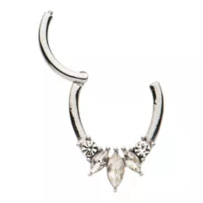 Flower Petal CZ Hinged Septum Ring - 16 Gauge at Spencer's