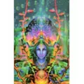 Ocean Goddess Black Light Poster at Spirit Halloween