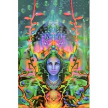 Ocean Goddess Black Light Poster at Spirit Halloween