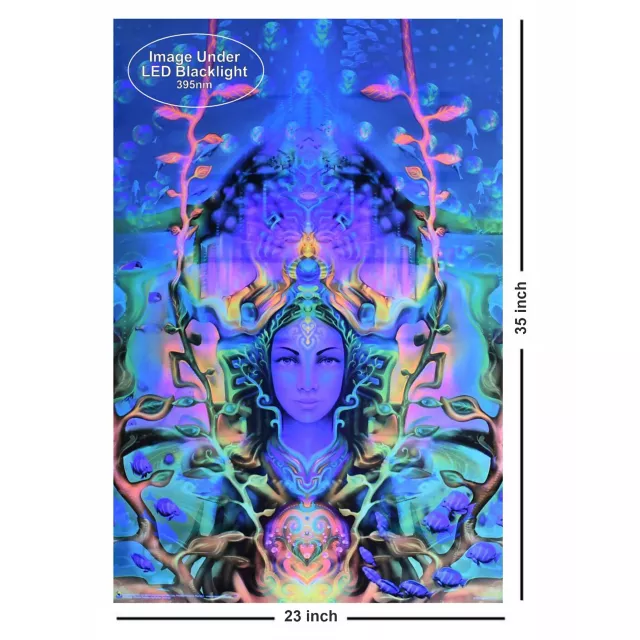 Ocean Goddess Black Light Poster at Spirit Halloween