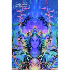 Ocean Goddess Black Light Poster at Spirit Halloween