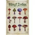 The Fungi Zodiac Poster at Spencer's