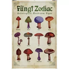 The Fungi Zodiac Poster at Spencer's