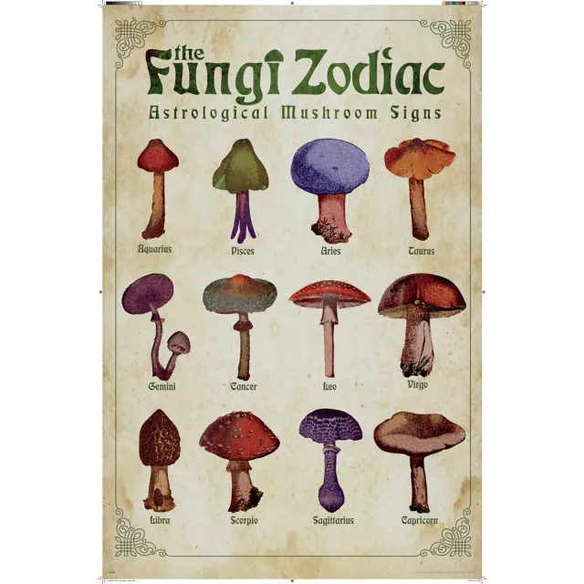 The Fungi Zodiac Poster at Spencer's