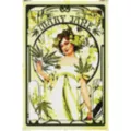 Mary Jane Nouveau Poster at Spencer's