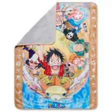 Straw Hat One Piece Fleece Blanket at Spencer's