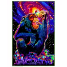 Monkey Mushroom Black Light Poster at Spencer's