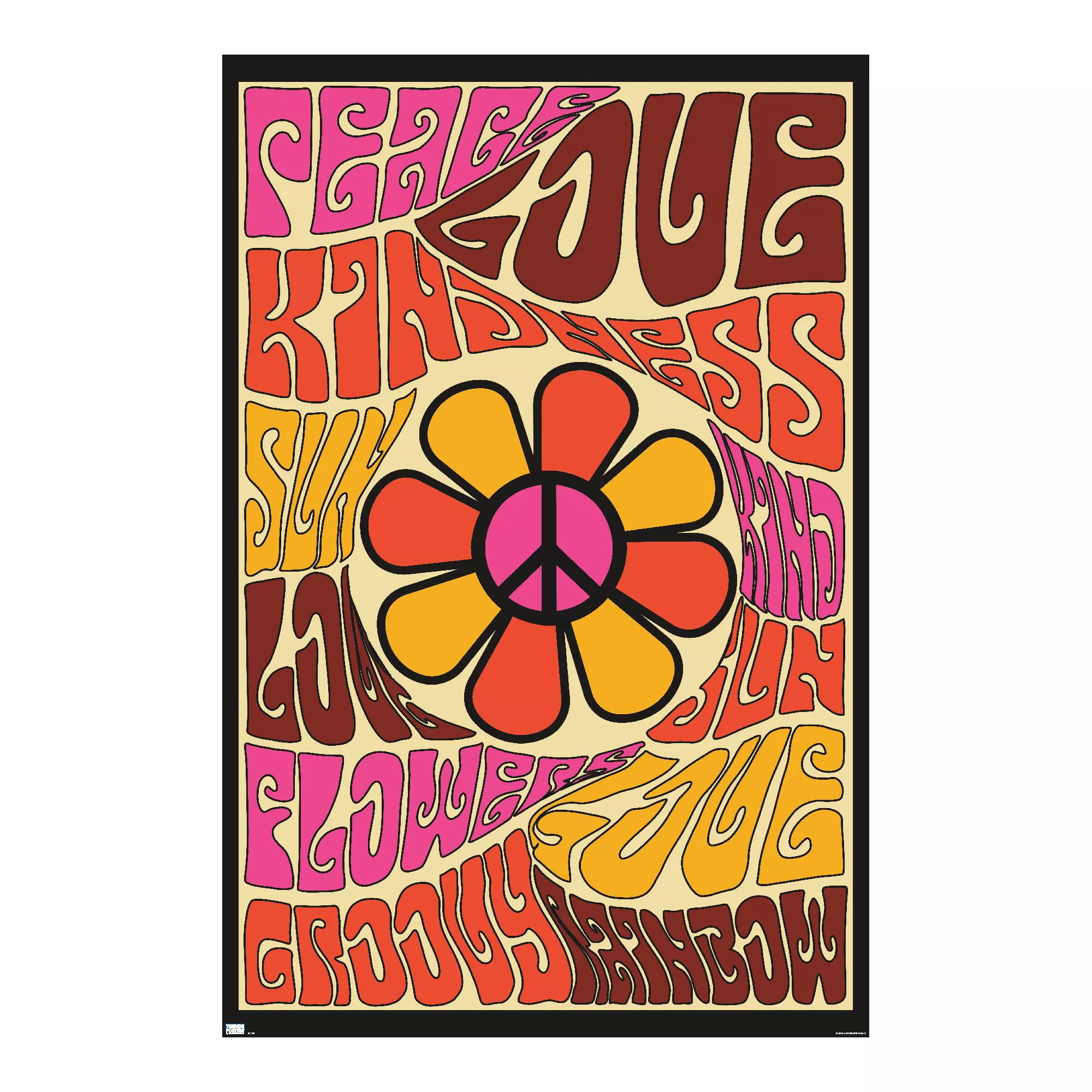 Peace Love and Kindness Poster at Spencer's