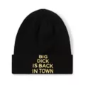Big Dick Is Back in Town Beanie Hat - Danny Duncan at Spencer's