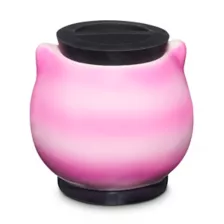 Cheshire Cat Stash Jar - 6.5 oz. at Spencer's