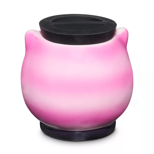 Cheshire Cat Stash Jar - 6.5 oz. at Spencer's