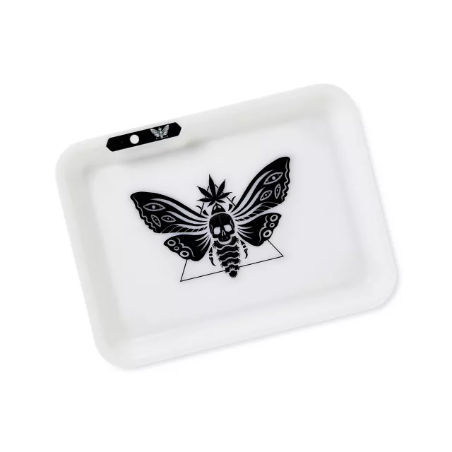 Light-Up LED Death Moth Tray at Spencer's