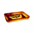 Light-Up LED Death Moth Tray at Spencer's