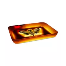 Light-Up LED Death Moth Tray at Spencer's
