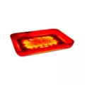 Mystic Mushroom LED Tray at Spencer's